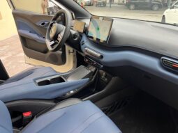 
										BYD  MINI DOLPHY  2025 full									