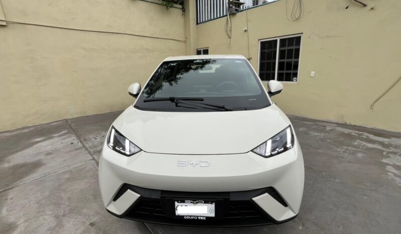 
								BYD  MINI DOLPHY  2025 full									