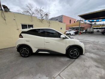 BYD  MINI DOLPHY  2025