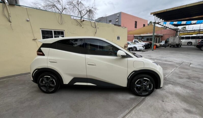 
								BYD  MINI DOLPHY  2025 full									