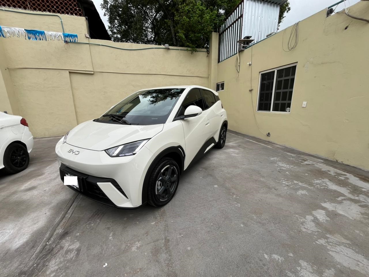 BYD  MINI DOLPHY  2025