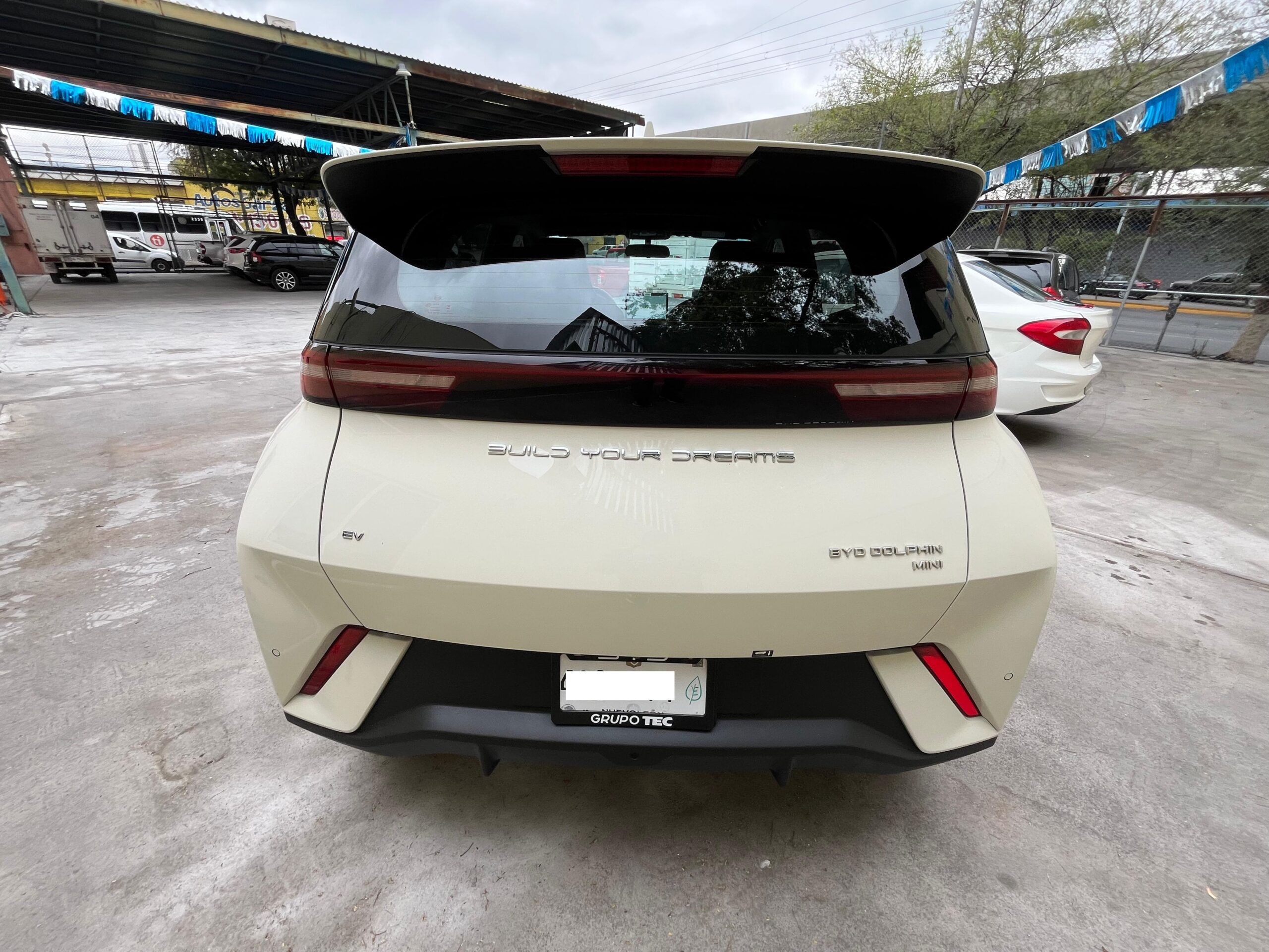 BYD  MINI DOLPHY  2025